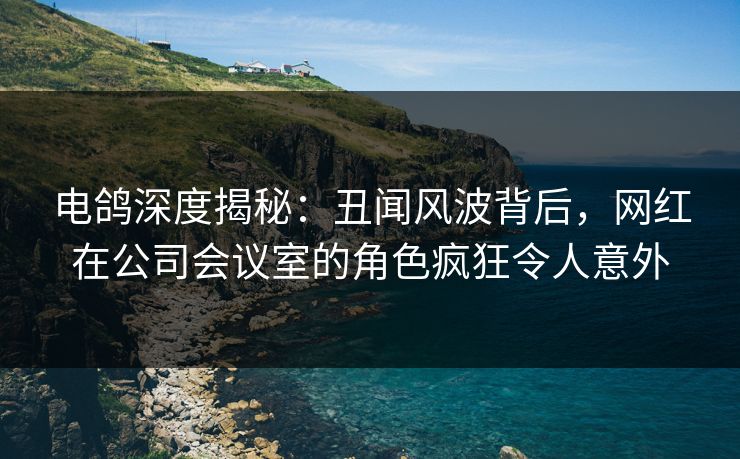 电鸽深度揭秘：丑闻风波背后，网红在公司会议室的角色疯狂令人意外