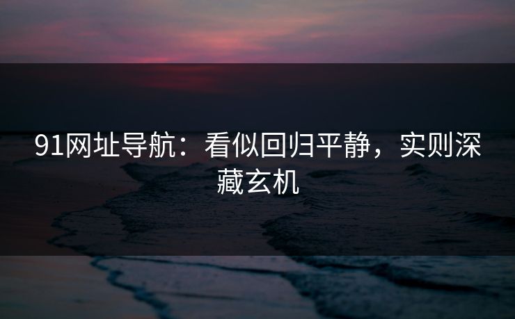 91网址导航：看似回归平静，实则深藏玄机
