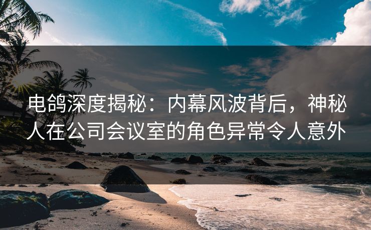 电鸽深度揭秘：内幕风波背后，神秘人在公司会议室的角色异常令人意外