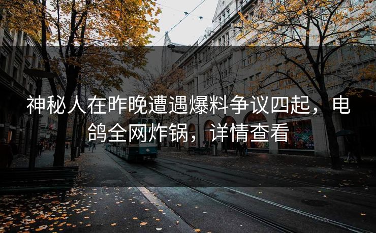 神秘人在昨晚遭遇爆料争议四起，电鸽全网炸锅，详情查看