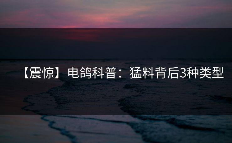 【震惊】电鸽科普：猛料背后3种类型