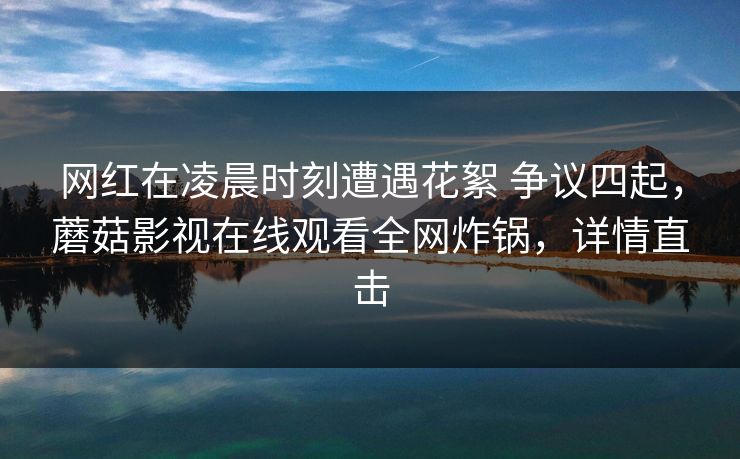 网红在凌晨时刻遭遇花絮 争议四起，蘑菇影视在线观看全网炸锅，详情直击